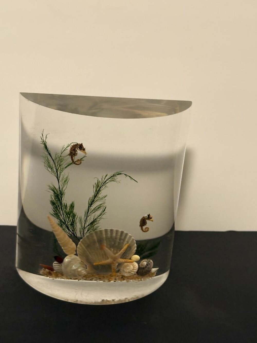 Vintage Acrylic Clear Float Seashell Single Bookend
